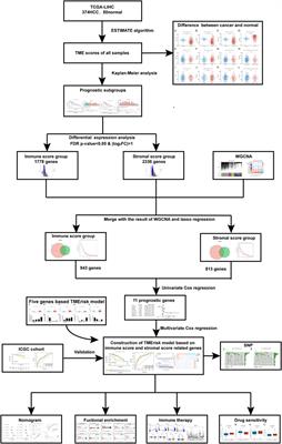 Identification and Validation of a Novel Tumor Microenvironment-Related Prognostic Signature of Patients With Hepatocellular Carcinoma